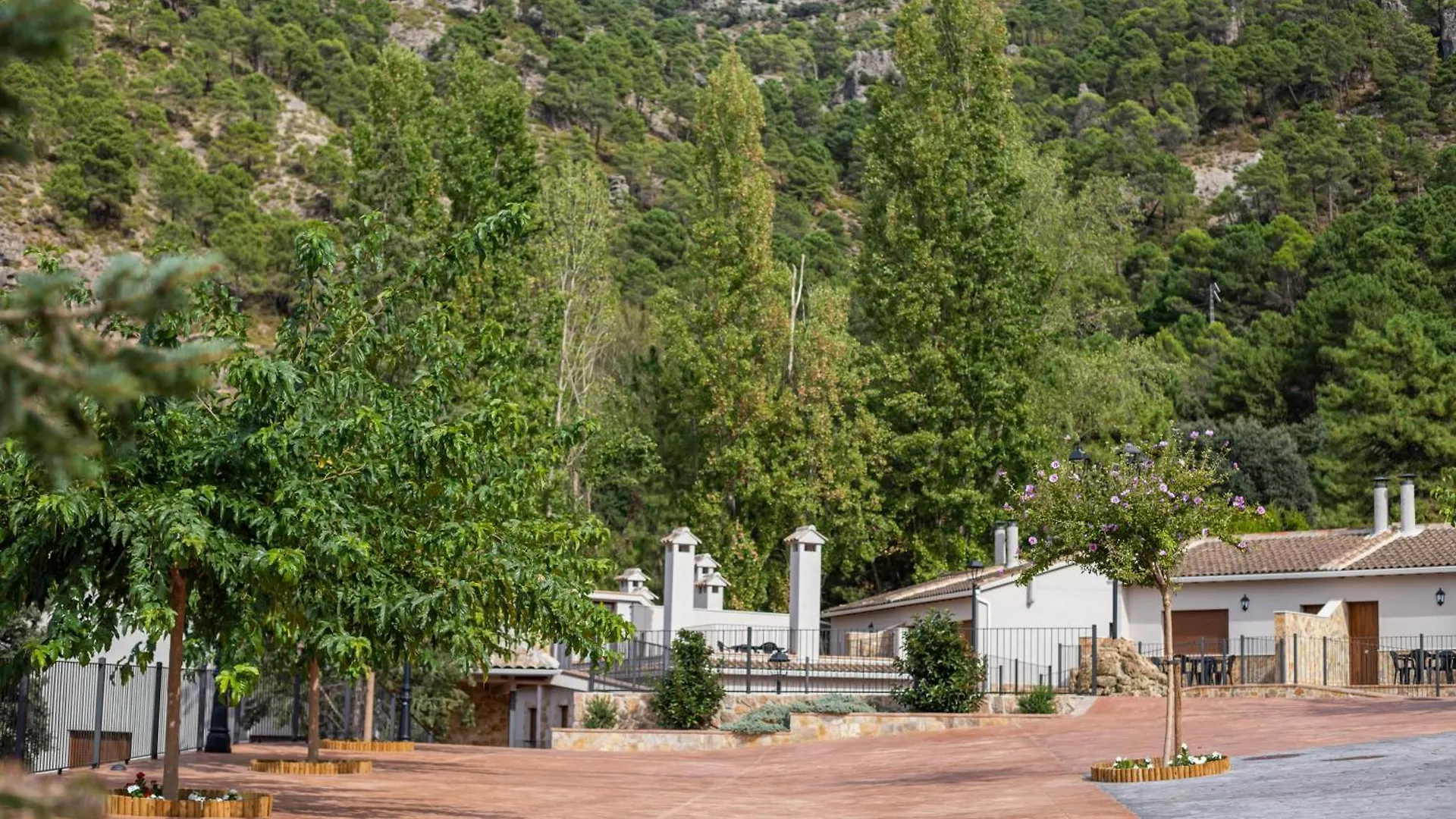 Apartamentos 7 Puentes Sierra Cazorla Las 5 Casas Iguales 버언커 아파트